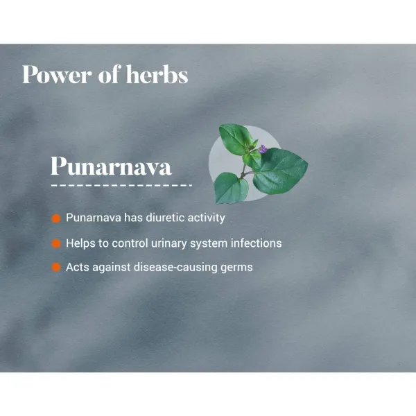 Himalaya Punarnava