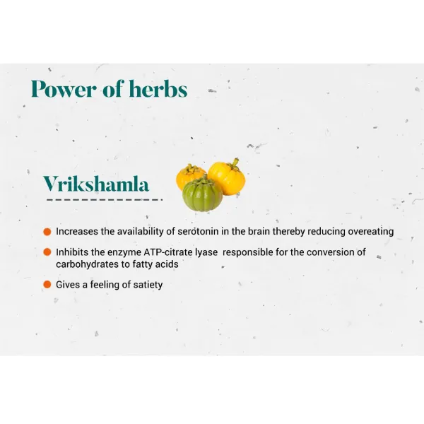 Himalaya Vrikshamla